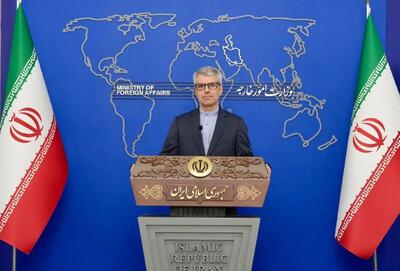 بقایی: دیپلماسی باید با تمام توان به کمک نیروهای مسلح بیاید