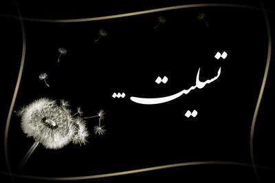 داغدار شدن روزنامه‌نگار حوزه فرهنگ در پی حمله اسرائیل