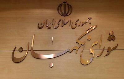 بیانیه شورای نگهبان در پی شهادت سرداران مجاهد اطلاعاتی