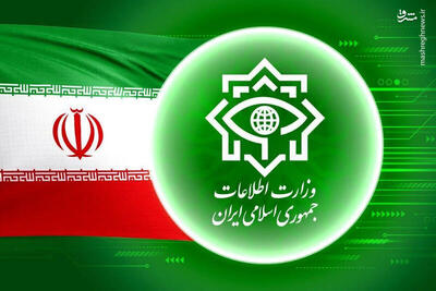 اینفوگرافیک/ کدام موارد مشکوک را به نهادهای امنیتی اطلاع دهیم؟