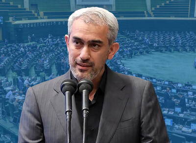 مدنی زاده: به‌کسی بدهکار نیستم فقط متعهد به ایرانم!