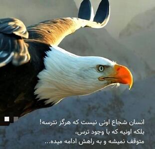 جملات انگیزشی شجاعت (نقل قول های زیبا در مورد شجاع بودن با متن های مثبت)