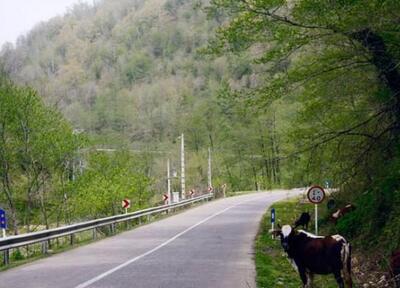 مکان های خنک برای سفر در تابستان؛ مسافرتهای تابستانی به مکانهای خنک