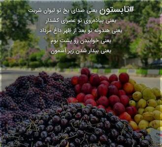 عکس نوشته تابستان برای پروفایل + متن های داغ در مورد فصل گرم تابستان