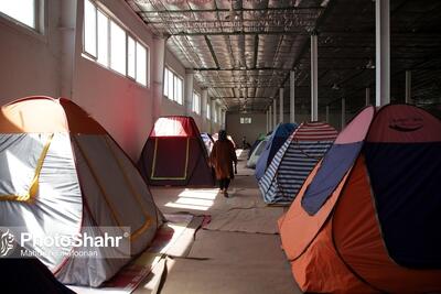 وزیر علوم: دانشگاه‌ها ملزم به تامین اسکان استادان هستند