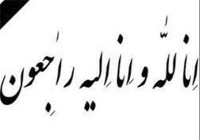 شهادت یک پاسدار در حملات اسرائیل به سایت نظنز + عکس - تسنیم