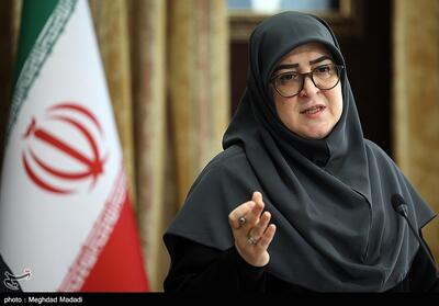 مهاجرانی: اسرائیل 45 کودک و زن را در ایران به شهادت رساند - تسنیم
