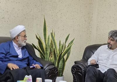 تشکیل جلسه اضطراری پتروشیمی‌های پارس با حضور کمیسیون انرژی - تسنیم