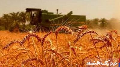 مطالبات گندمکاران به زودی پرداخت می‌شود