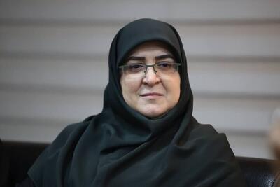 اظهارات سخنگوی دولت؛ از تمهیدات درخصوص تامین سوخت تا توزیع اقلام در استان‌هایی که مهمان‌پذیر شدند