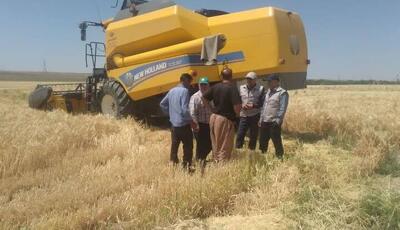 برداشت جو در بیش از ۳۸ هزار هکتار از اراضی آذربایجان غربی آغاز شد