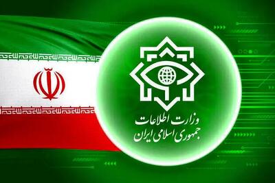 هشدار جدی/ تردد این خودروها را گزارش دهید