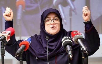 مهاجرانی: مشکل تامین سوخت نداریم، درگیر یک جنگ ترکیبی هستیم