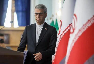 پیام بقائی خطاب به کمیسر عالی حقوق بشر