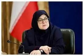 هیچ مشکلی در تامین سوخت نداریم/توضیح درباره روند بازگشت حجاج