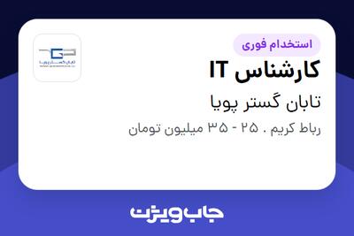 استخدام کارشناس IT - آقا در تابان گستر پویا