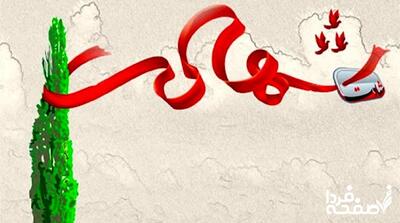 شهادت راننده‌ مجلس در حمله به صداوسیما