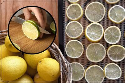 آموزش خشک کردن لیمو با دستگاه میوه خشک کن