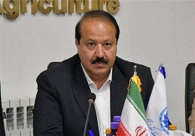 بخش خصوصی برای حفظ پایداری اقتصاد، در میدان حضور دارد - تسنیم