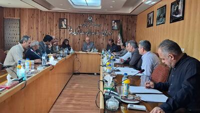 نظارت گسترده بر بازار کردستان/تأمین نان شهروندان بدون مشکل انجام می شود
