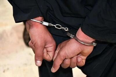 کشف و بازداشت تعدادی جاسوس در این شهرها