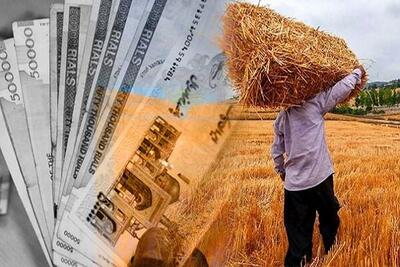 دولت پول کشاورزان را پرداخت کرد
