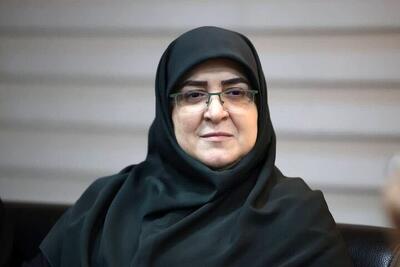سخنگوی دولت: کاهش سرعت اینترنت بخاطر حملات سایبری بود/ مشکل تامین اسکناس به زودی مرتفع می‌شود