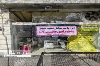 نانوایی متخلف در قزوین پلمب شد