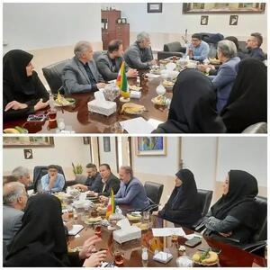 نشست اضطراری کارگروه فضای مجازی استان البرز برگزار شد