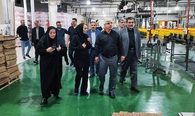 معاون استاندار گلستان: واحدهای تولیدی استان با همه ظرفیت مشغول فعالیت هستند