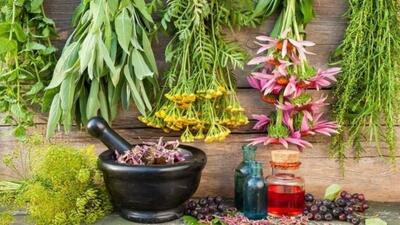 درمان طبیعی افسردگی با گیاه دارویی گل راعی (علف چای) - سبک ایده آل