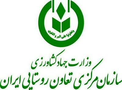 تعاون روستایی اعلام کرد: آماده توزیع محصولات کشاورزی هستیم