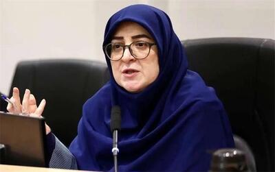 سخنگوی دولت: برخی اوقات برای مقابله با حملات سایبری، مجبور به کاهش سرعت اینترنت هستیم/ تا زمانی که اضطرار وجود نداشته باشد، اینترنت ملی نمی‌شود