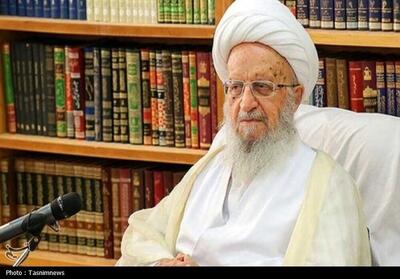 آیت‌الله مکارم در واکنش به ترامپ: ما به رهبری امت حساسیم - تسنیم