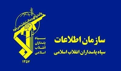 دستگیری جاسوس اروپایی در استان کهگیلویه و بویراحمد