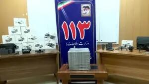 چندین ریزپرنده در استان بوشهر کشف شد