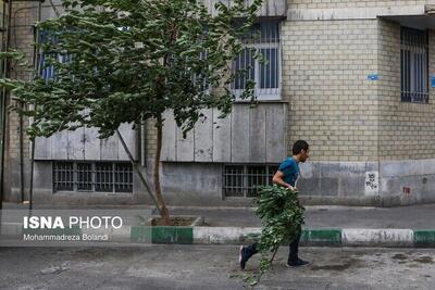 وزش باد شدید در تهران