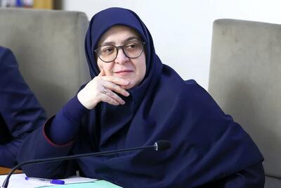 مهاجرانی: در حال دفاع از خود هستیم