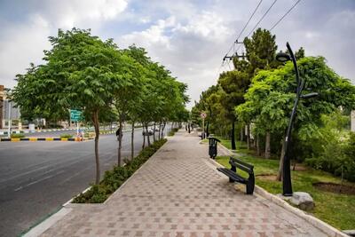 پیش بینی هوای مازندران و ساری یکشنبه اول تیرماه ۱۴۰۴ / هشدار زرد هواشناسی