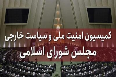 سخنگوی کمیسیون امنیت ملی مجلس: خروج از NPT در دستورکار مجلس شورای اسلامی است