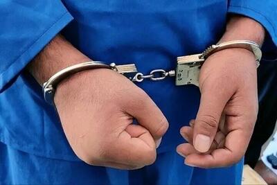 یک عامل مرتبط با اسرائیل در پرند دستگیر شد
