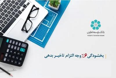 اجرای طرح بخشودگی جریمه تاخیر در بانک توسعه تعاون