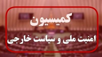 خروج از NPT در دستورکار مجلس شورای اسلامی است
