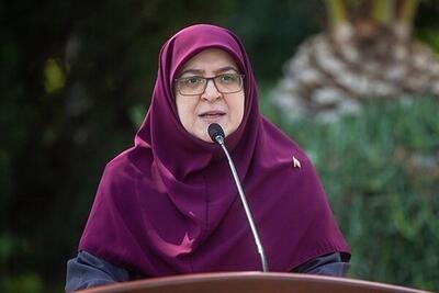 مهاجرانی: خطری برای مجاوران سایت‌های هسته‌ای وجود ندارد