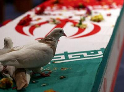شهادت قهرمان ووشو در حملات اسرائیل | رویداد24