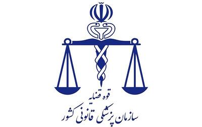 رئیس سازمان پزشکی قانونی کشور: کوچکترین خللی در ارائه خدمت به مردم وجود ندارد