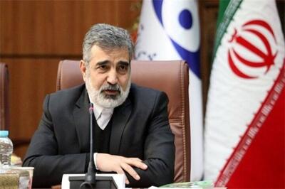 صنعت هسته‌ای ریشه در کشور ما دارد و از بین نمی‌رود