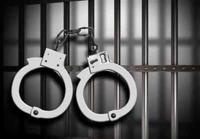 عامل موساد در پرند دستگیر شد - تسنیم
