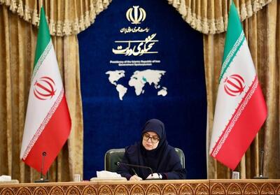 سخنگوی دولت: ‌رفتار مدعیان حقوق بشر خفت‌بار است - تسنیم