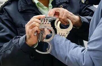 شبکه ارسال ریزپرنده در کوه‌های تهران منهدم شد